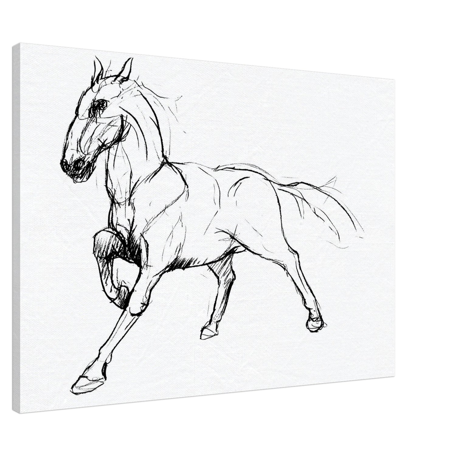 Drawings