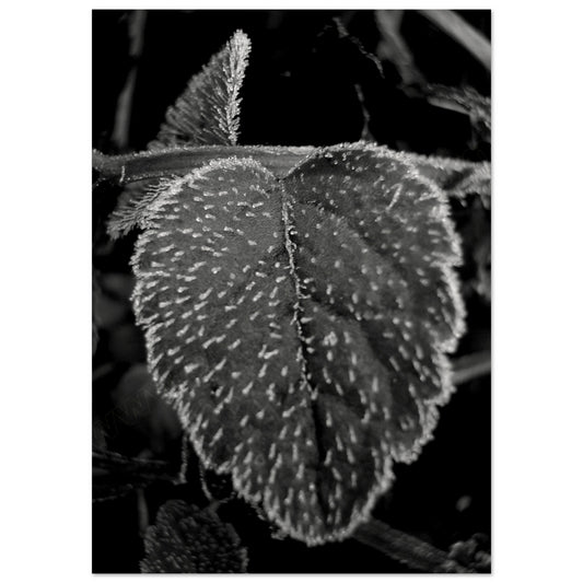4738acf3-bd13-461d-9319-4641adc9eae2