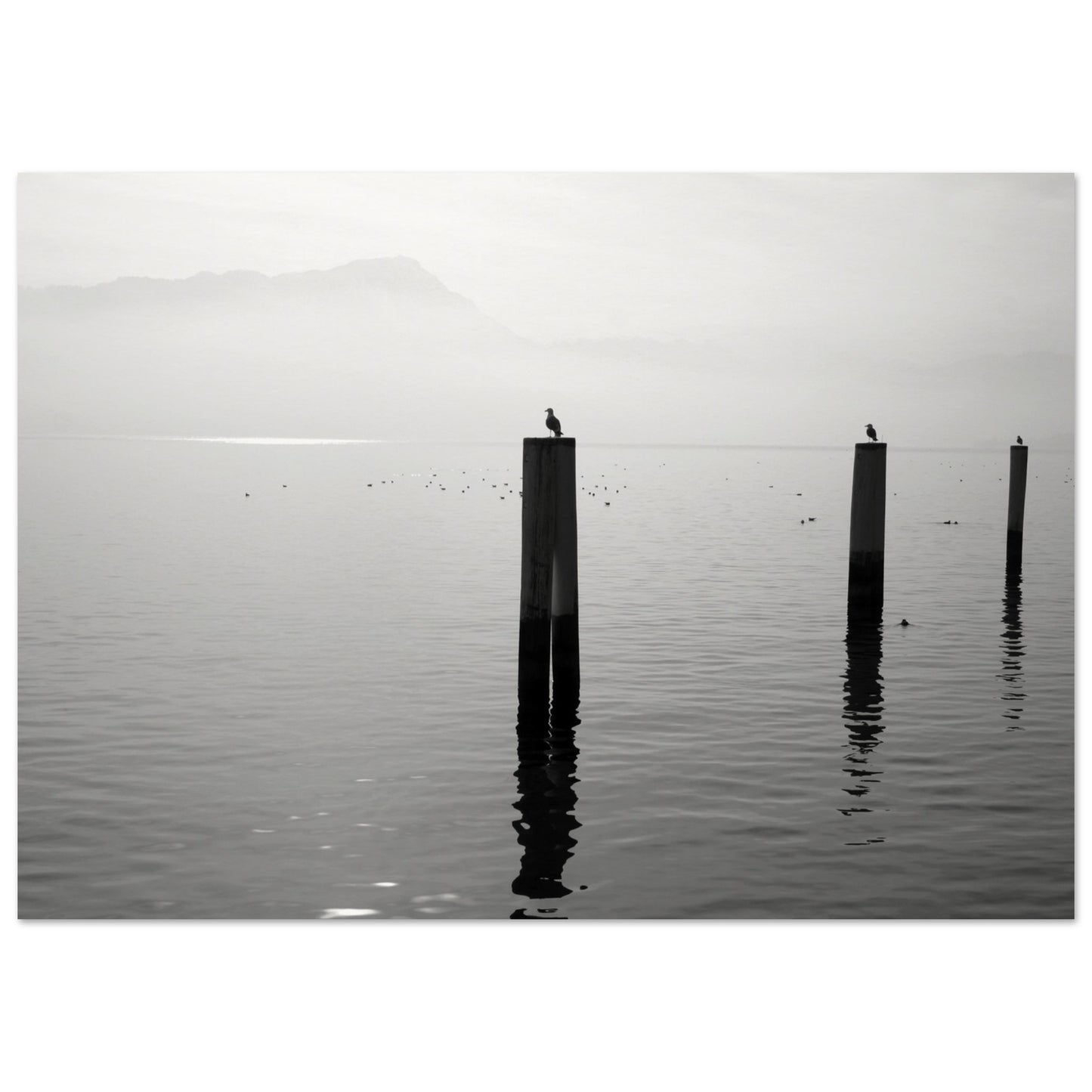 e9412933-d50b-4013-9d61-0c2208f28e62